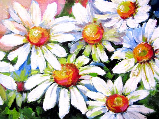 Daisies