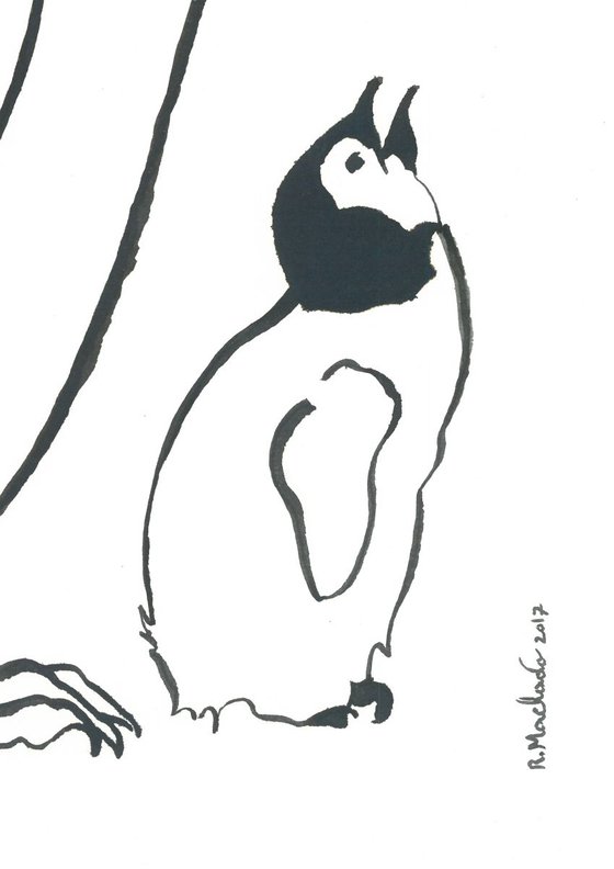 Penguins I Animal Drawing