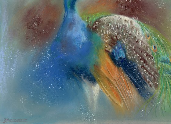 Peacock - Original Pastel Drawing