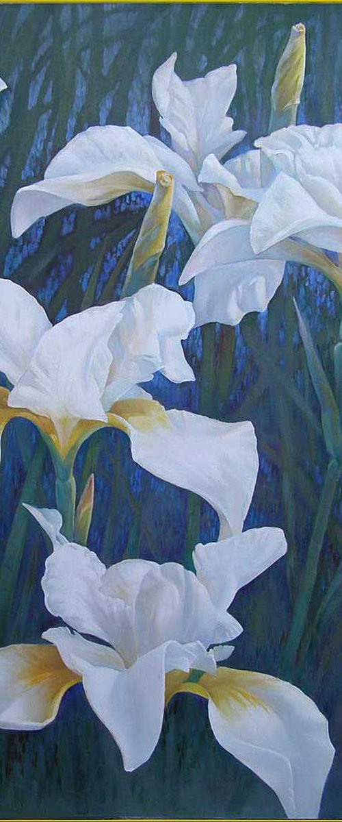 White Irises by Tatiana Rezvaya