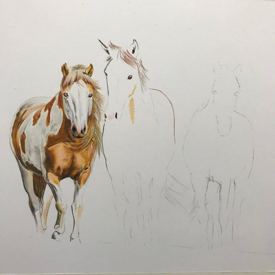 Three horses