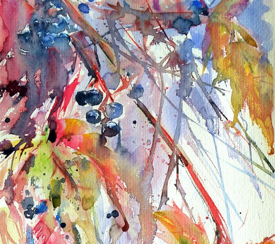 Wildgrapes