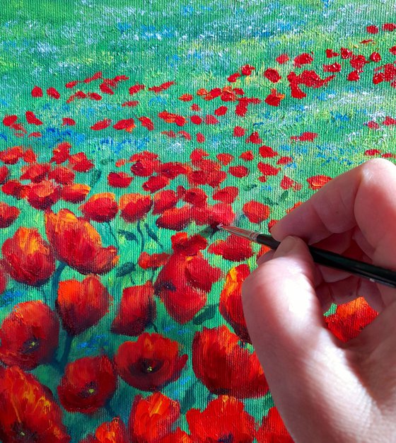 Serene poppy field