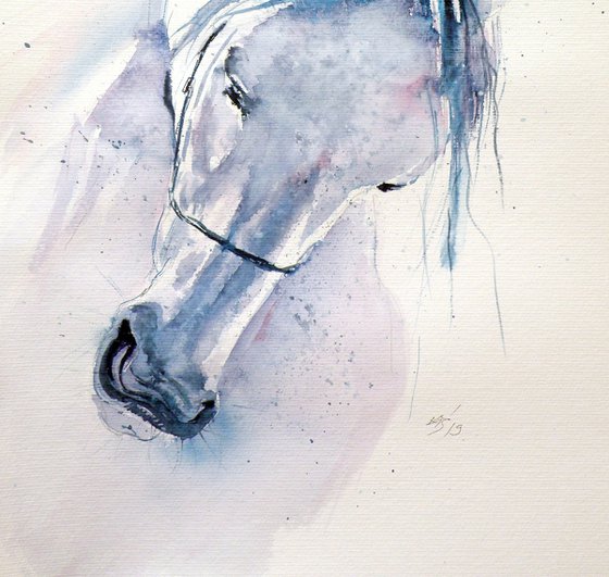 White horse
