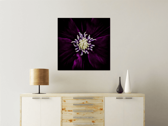 Vortex- Botanical Art on Ready to Hang HD Acrylic
