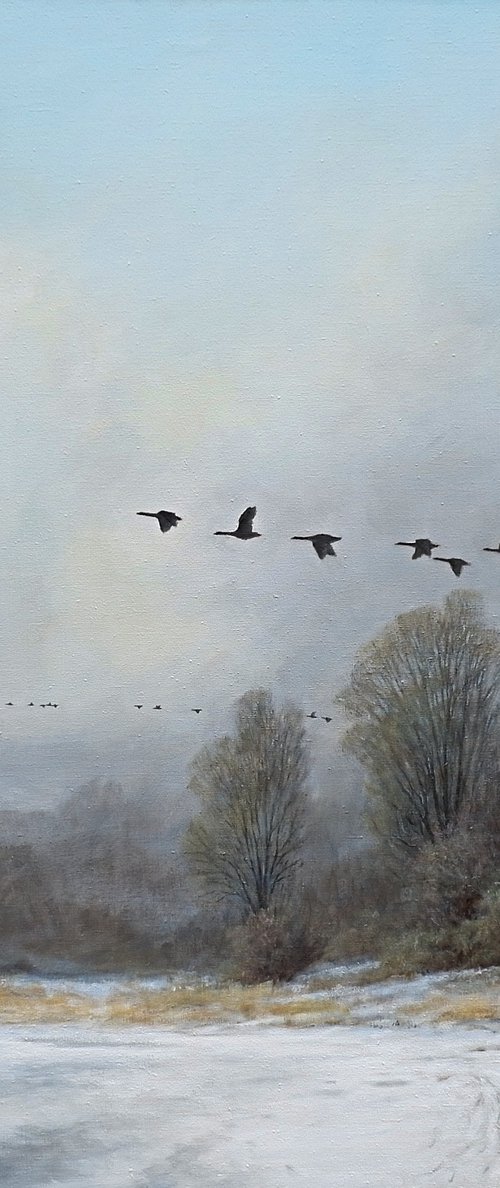 Geese on the run. by Gerard Kramer
