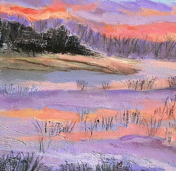 Sunrise And Grasses