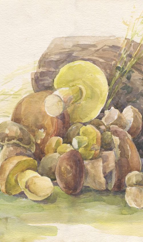 Forest mushrooms / Mushroom still life Mushroom watercolour by Olha Malko