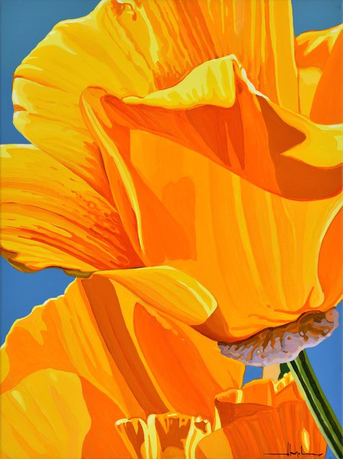 Californian Poppy and Pacific Wind #5 by Alex Nizovsky