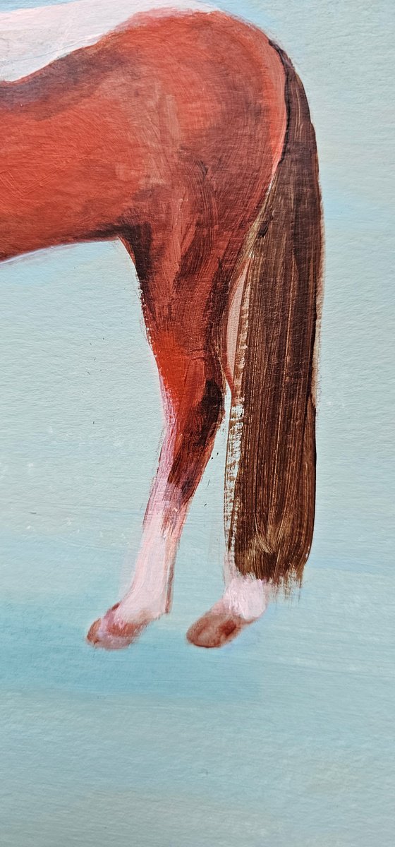 Pinto skewbald horse on blue