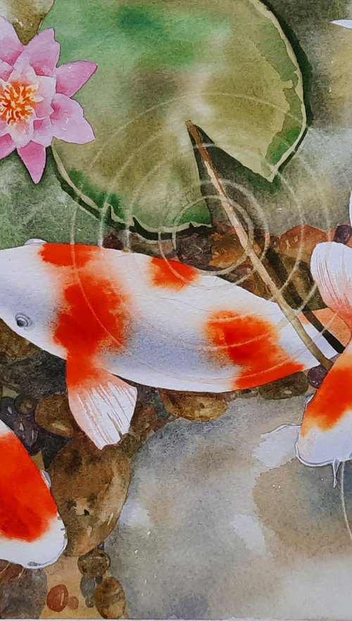 Calming Carp by Alison Fennell