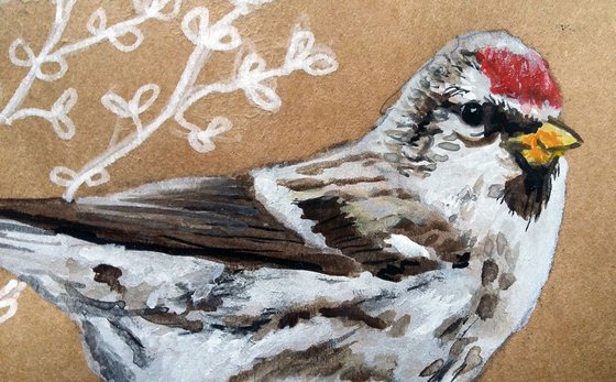 The Redpoll feather  (framed and ready to hang)