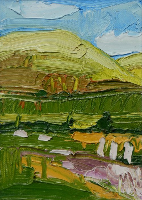 Fields, Hills and Summer Sky by Ben McLeod
