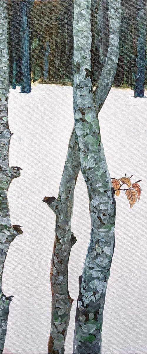 Simple Beams - Montagne de Lure by Chris Walker