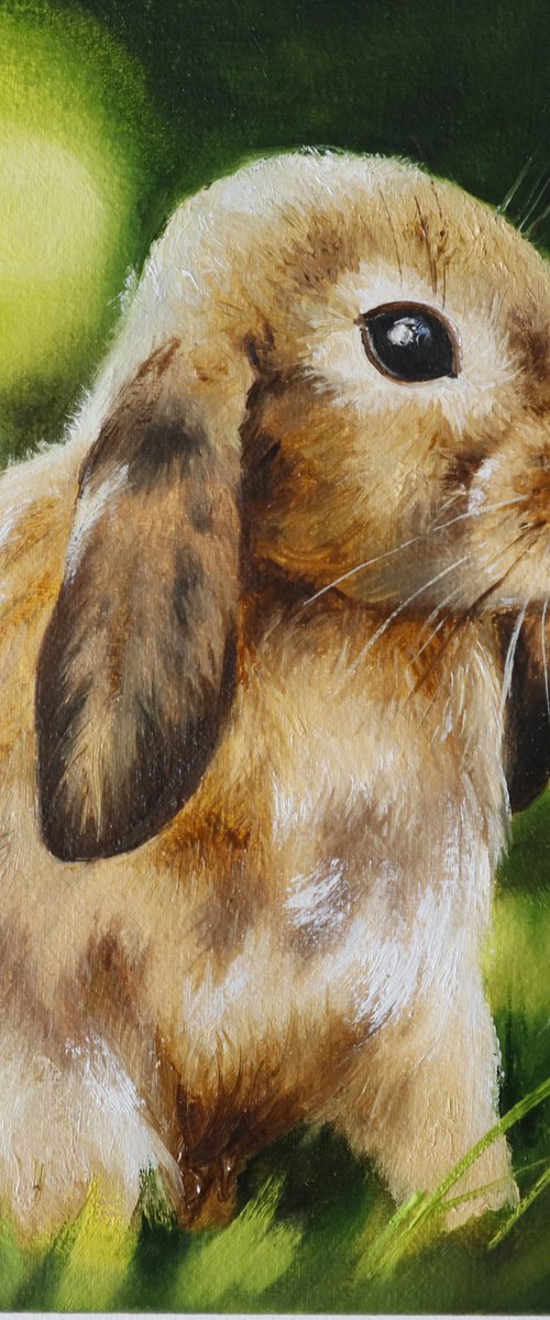 Little Bunny in Spring Light by Natalia Shaykina