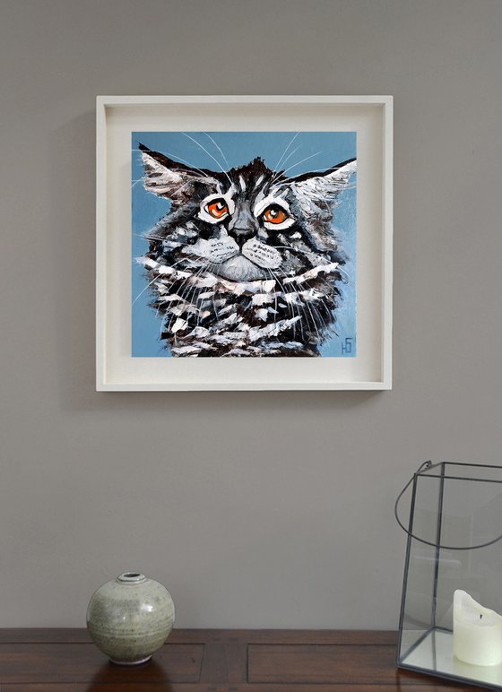 Funny cat Maine Coon