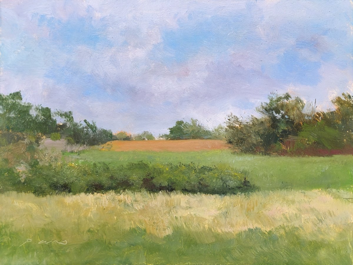 Impressionistic Landscape Oil Painting By Pascal Giroud, 9 X 7", Meadow Of St Jean, Original Artwork