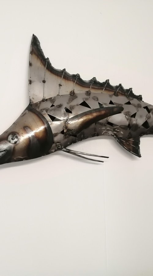 Marlin by Anthony Jeffries