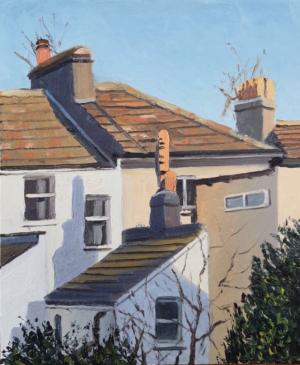 Brighton rooftops by Roberto Ponte