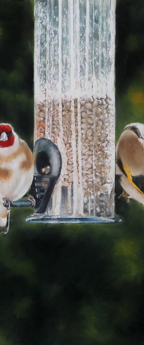 Goldfinch by Brian Halton