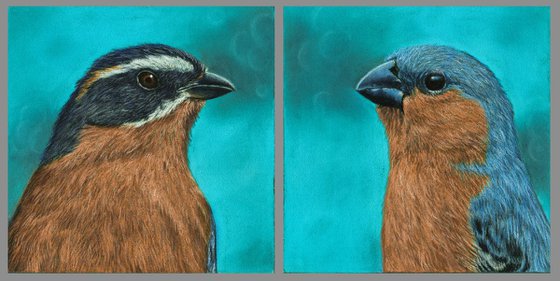 Original diptych pastel drawing birds "Brown portraits"