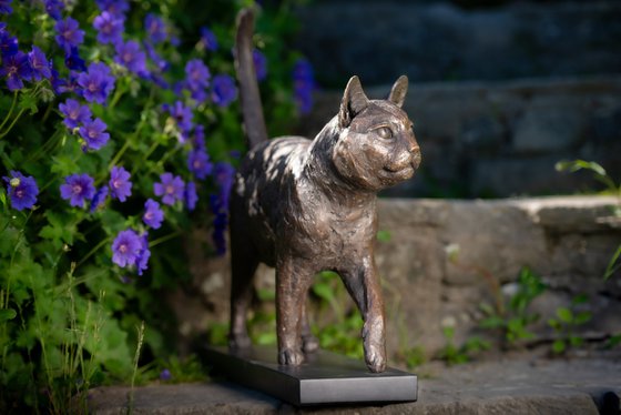 Community Cat (BR sculpture)