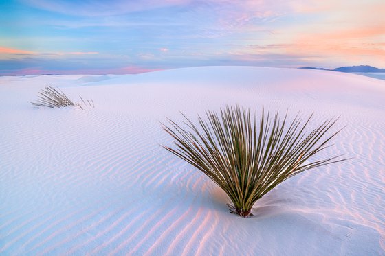 White Dunes, New Mexico - FRAMED - Limited Edition