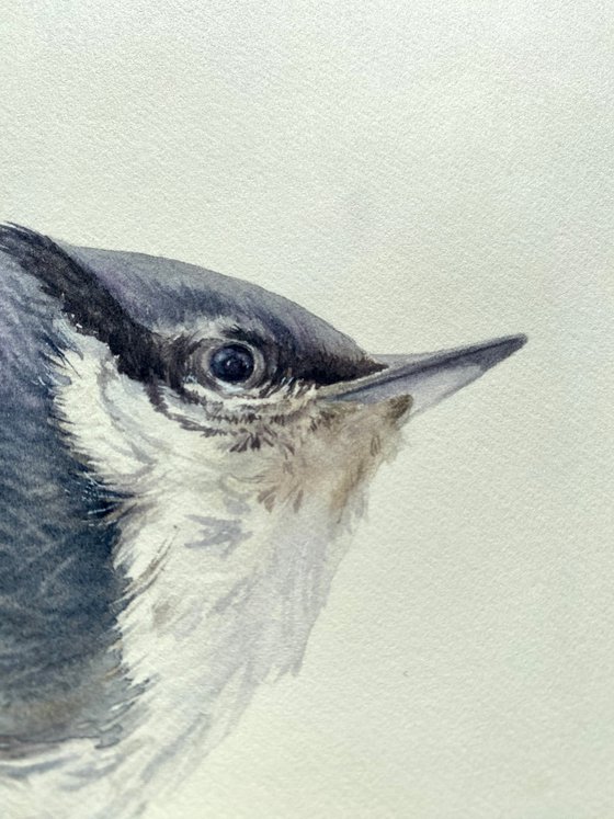 Nuthatch & Blue Tit (Set of 2)