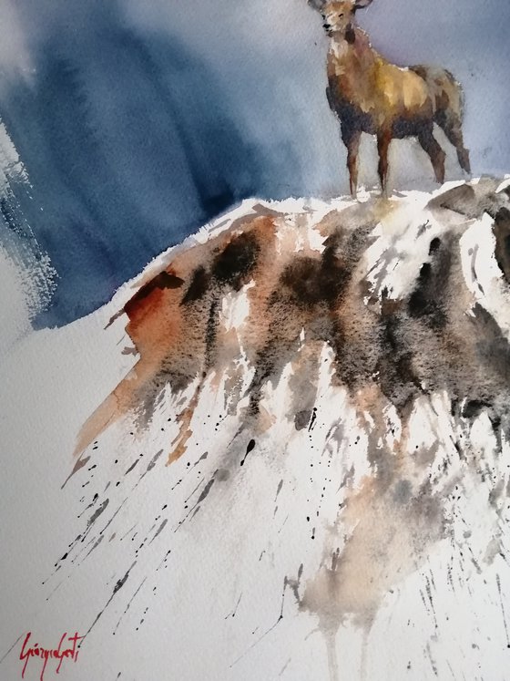 deer 4