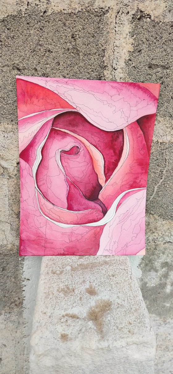Abstract rose