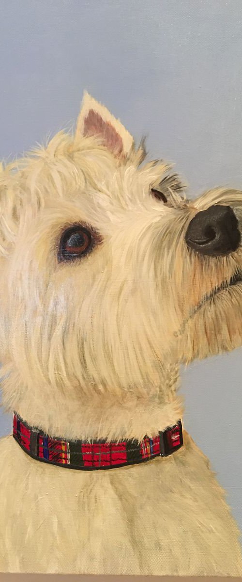TOBY - WEST HIGHLAND TERRIER by ELAINE ASKEW