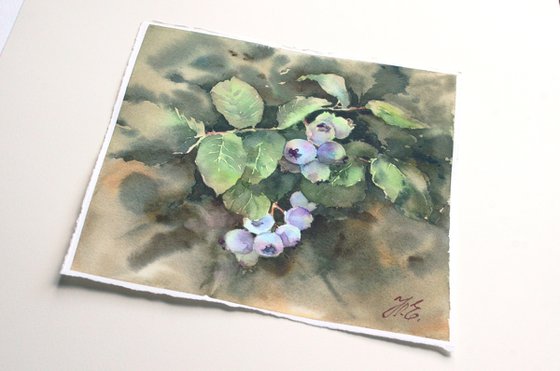Blueberries ripen, Surprise in mom's garden, Small watercolor painting