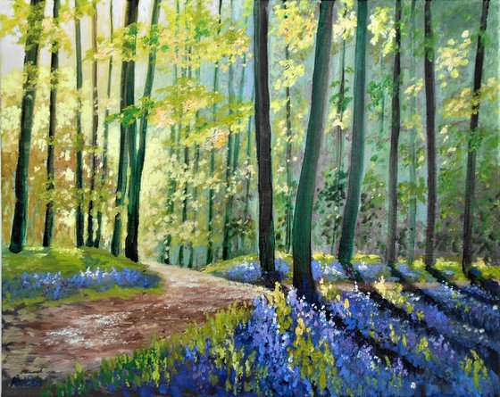 Bluebell Dawn