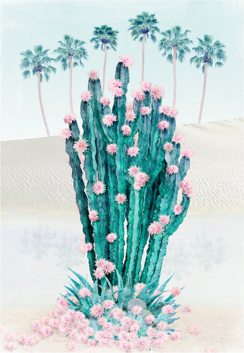 Cactus Oasis by Nadia Attura