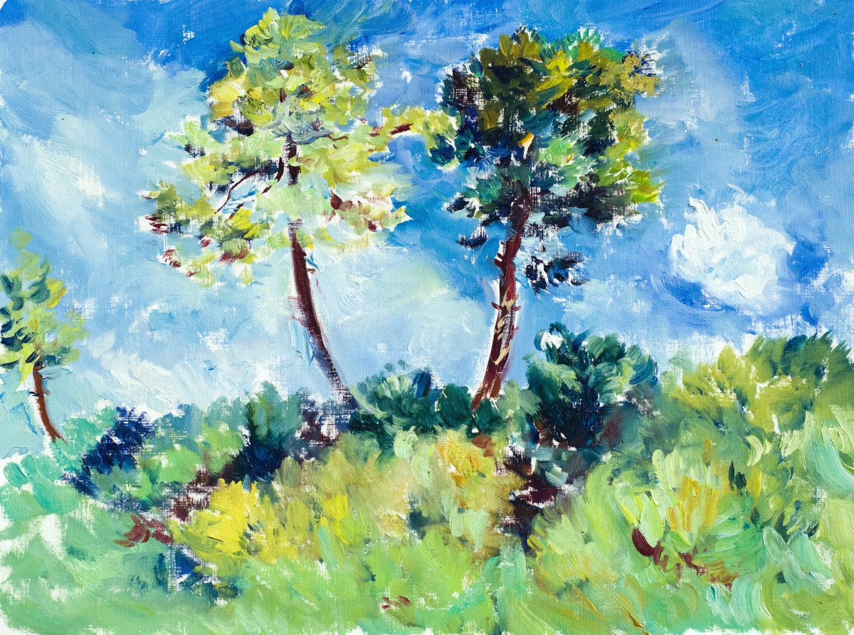 Impressionistic Landscape Oil Painting By Daria Galinski, 16 X 12, Two Pines. Italy, Original Artwork