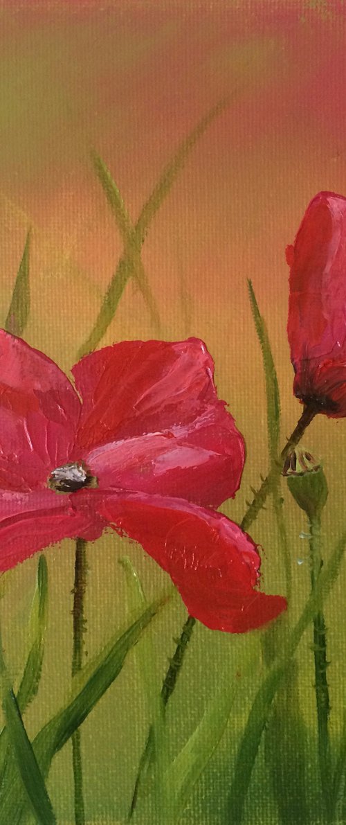 Poppy dance by Silvie Wright