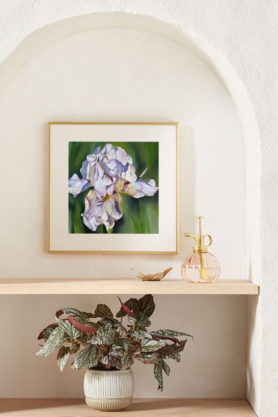 Purple White Irises