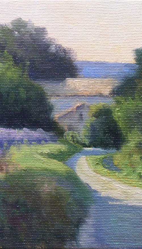 Path near Taulignan (Provence - France) by Pascal Giroud