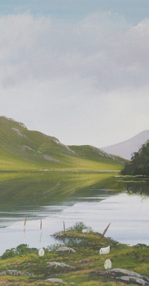 reflections in july by cathal o malley