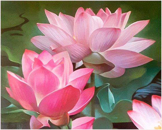 LOTUSES