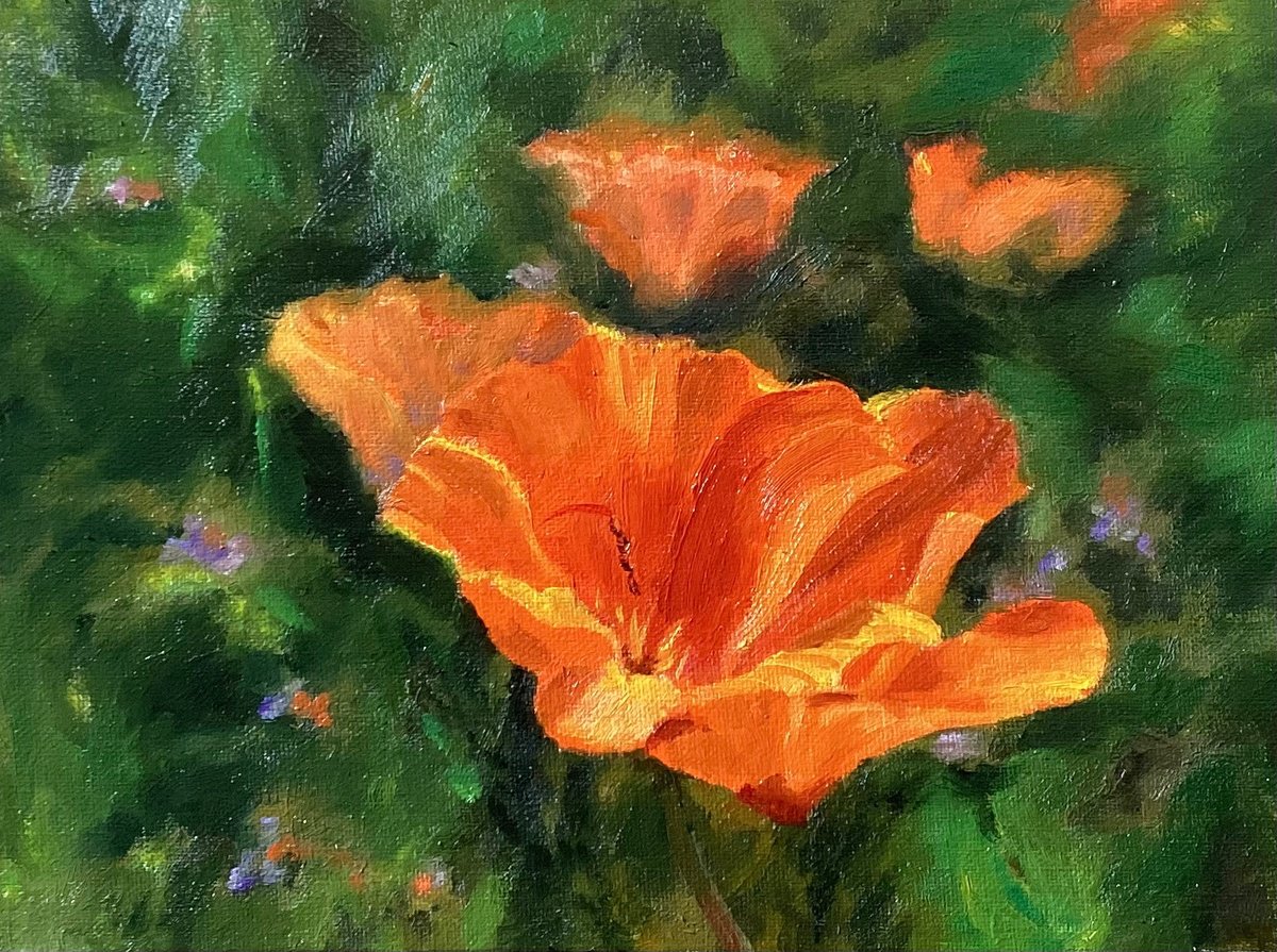 Impressionistic Botanical Oil Painting By Grace Diehl, 8 X 6, Super Bloom Poppies, Original Artwork