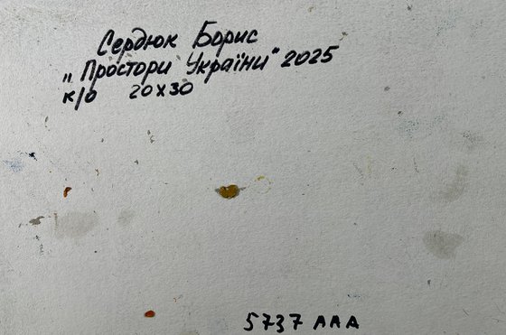 The River Flows along the Forest