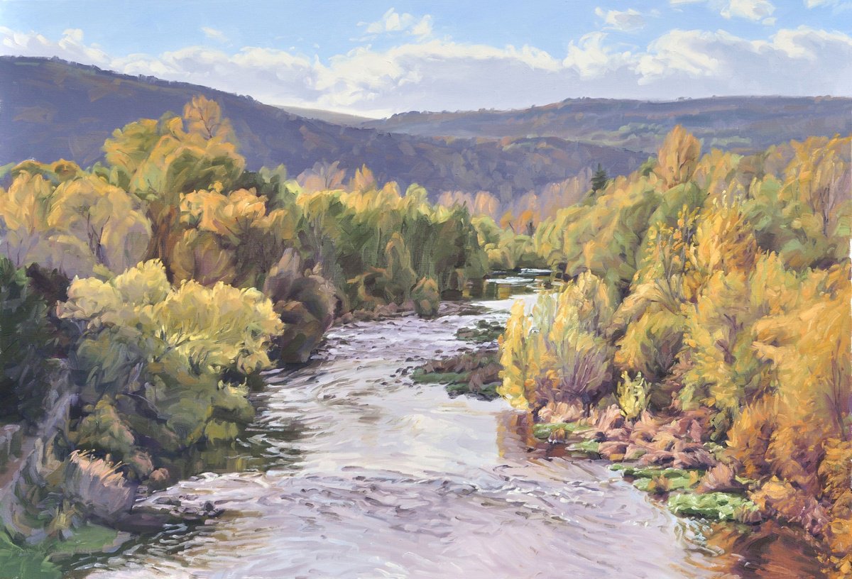 Impressionistic Landscape Oil Painting By Anne Baudequin, 51 X 35, The Loire At Coubon, Autumn Light, Original Artwork