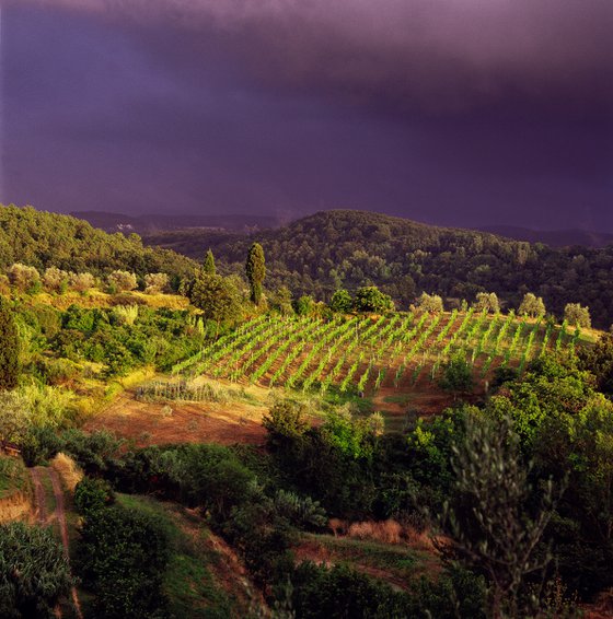 TUSCAN LANDSCAPE ITALY