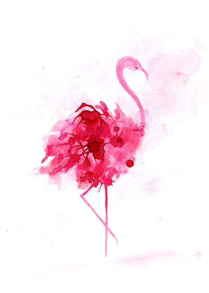 Flamingo by Gavin Dobson