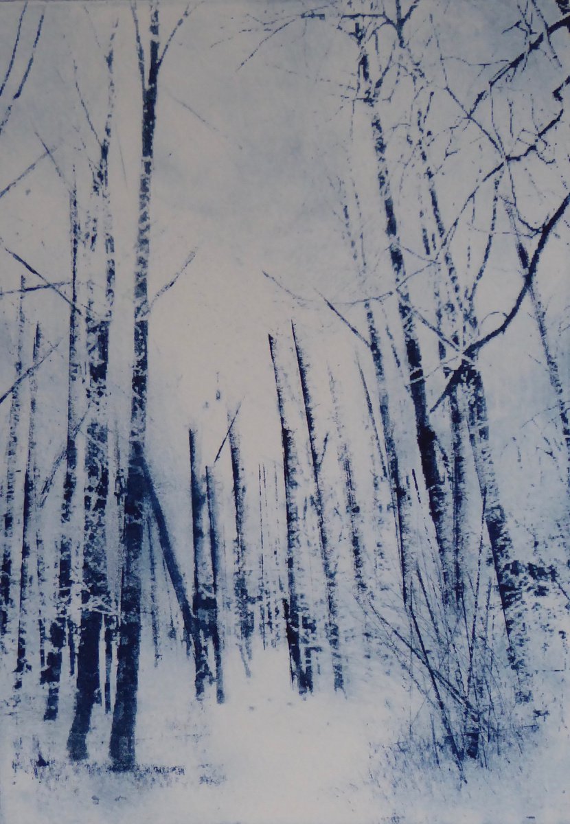 Winter Woods by Sue Roe