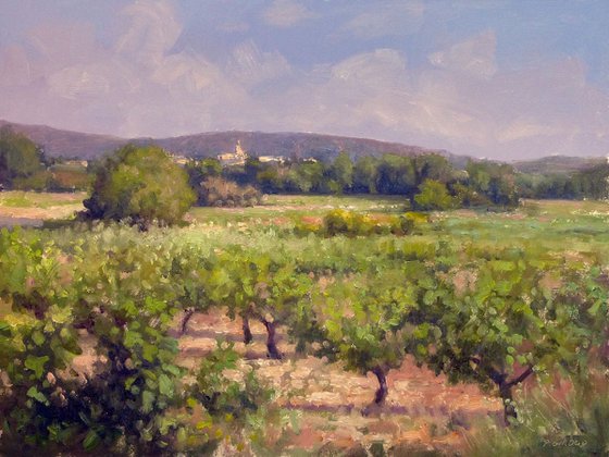 Vineyards near Roussillon