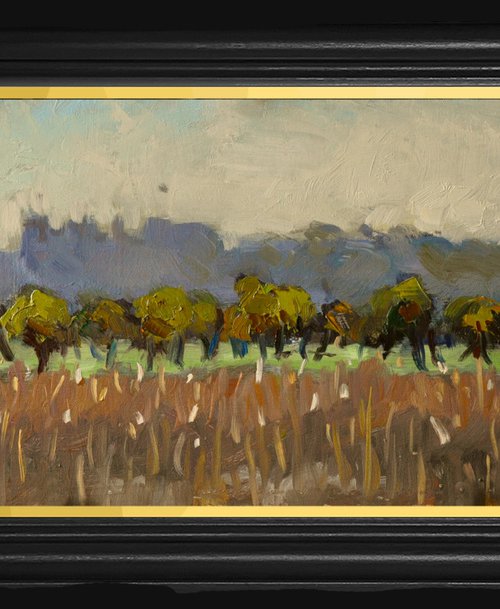 Trees at Arundel by Andre Pallat
