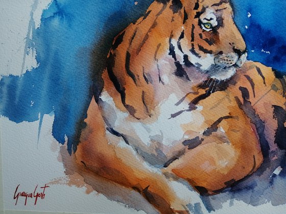 tiger 7