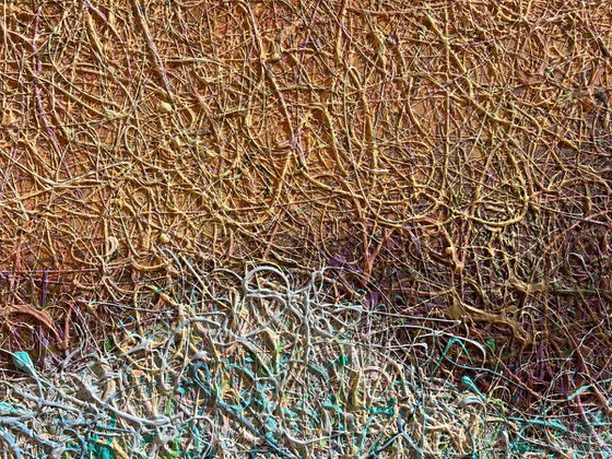 Waves of Tender Light